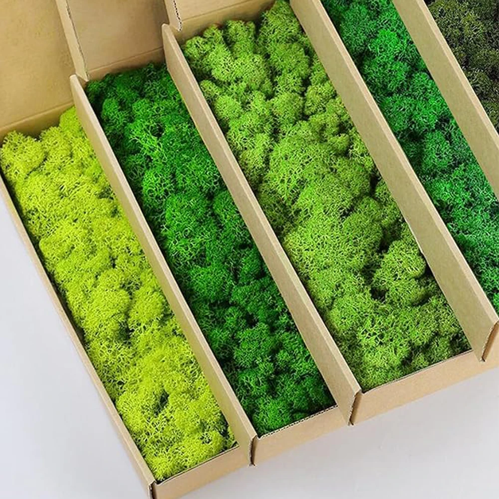 Sphagnum Moss Dry - 20-200 جرام نباتات خضراء اصطناعية عشب