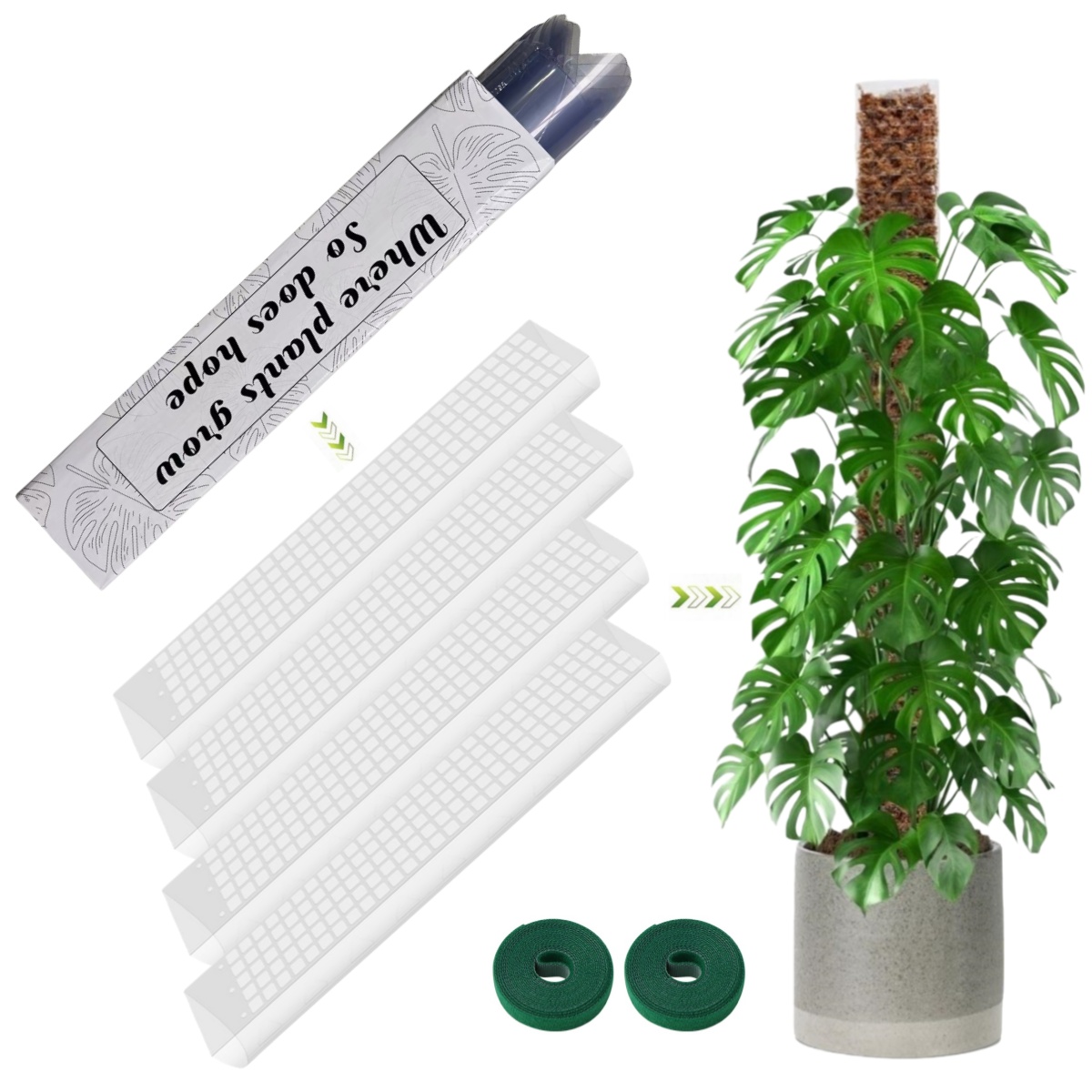 Sphagnum Moss Dry - عمود طحلب بلاستيكي داخلي لدعم نمو
