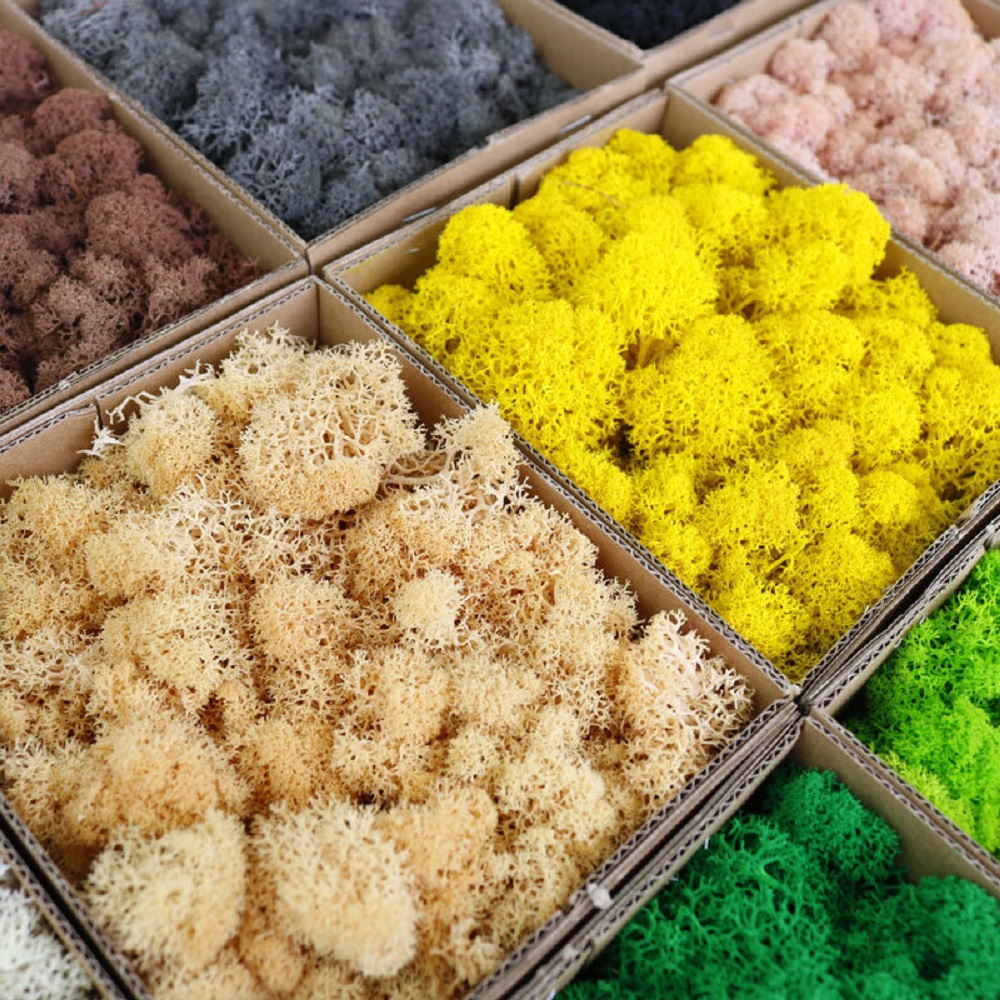 الحياة الأبدية موس Crafts بها  - مراجعة Sphagnum Moss Dry وسعره
