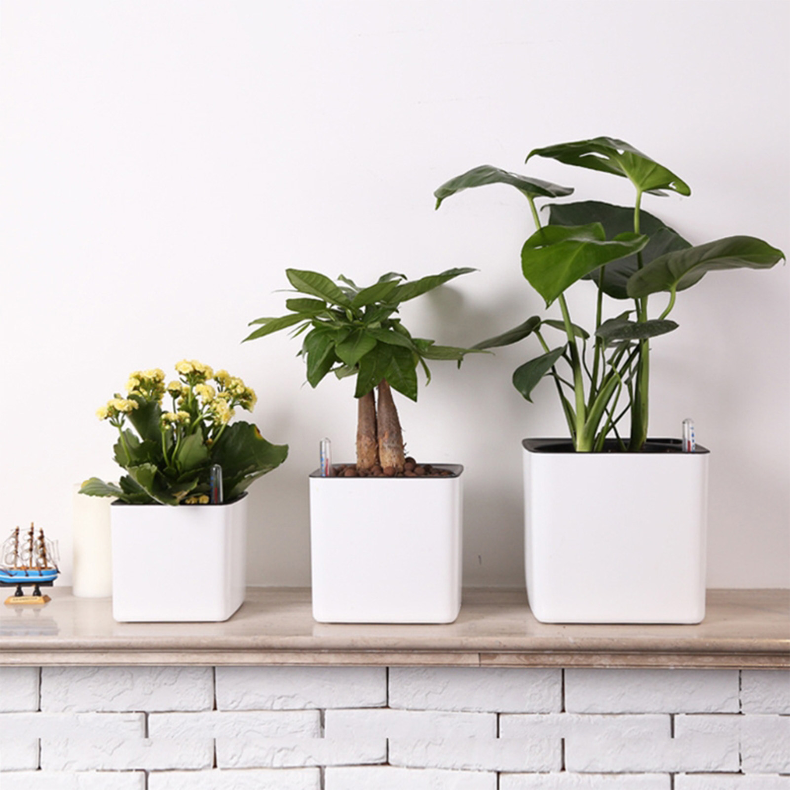 3 حجم أصيص زهور كسول نباتات خض - مراجعة Self Watering Insert وسعره