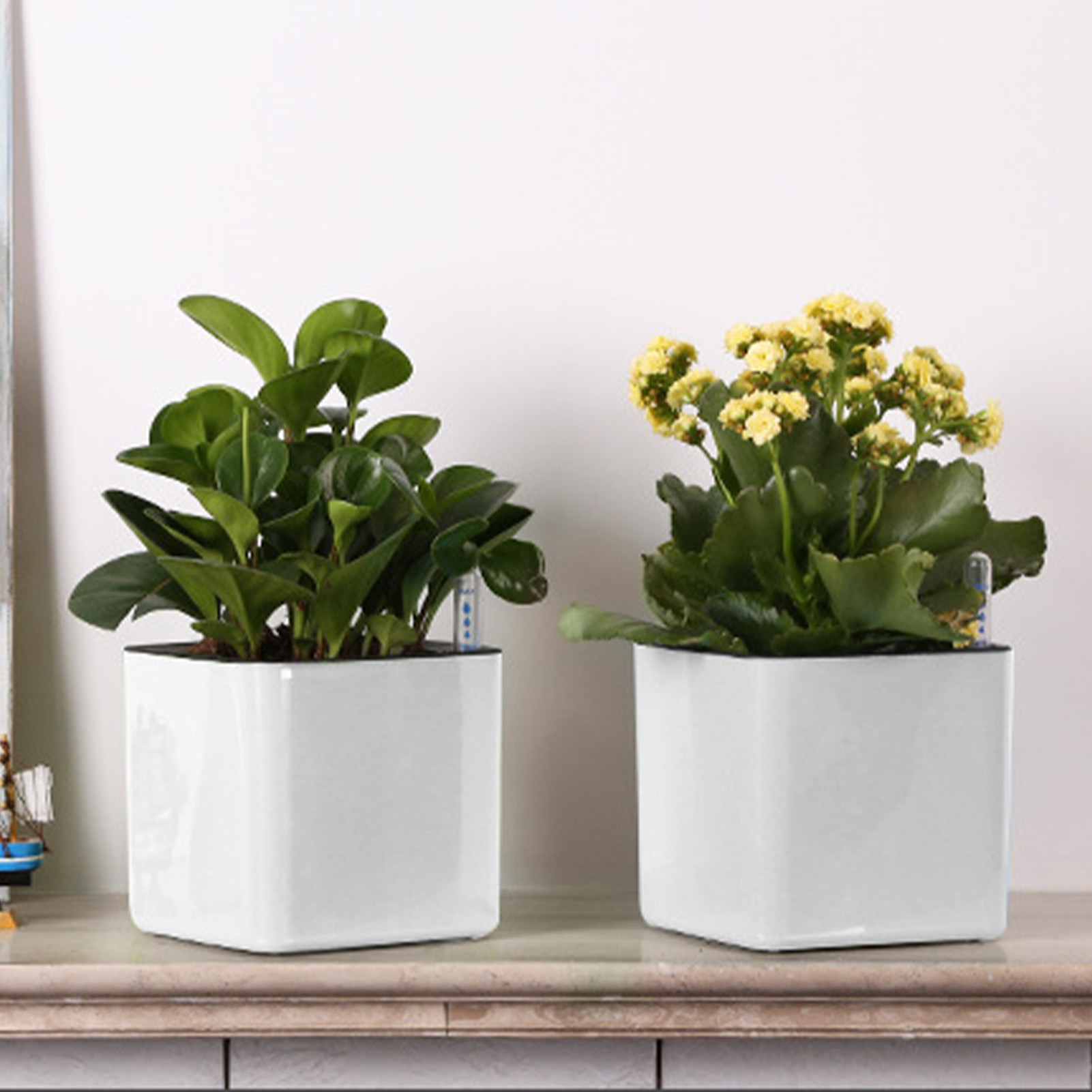 3 حجم أصيص زهور كسول نباتات خض - مراجعة Self Watering Insert وسعره