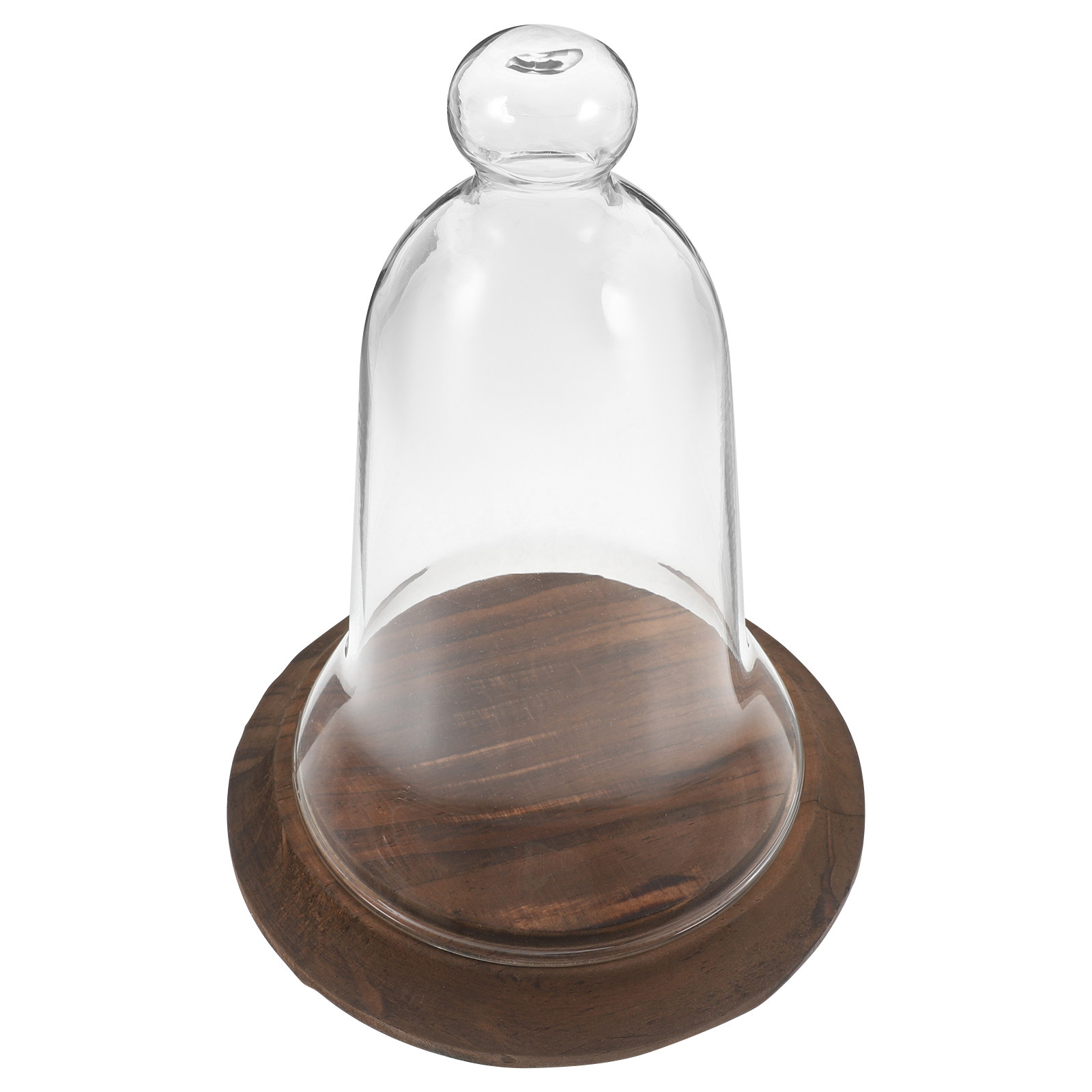 غطاء عرض زجاجي على شكل قبة، مص - مراجعة Plastic Dome Clear وسعره