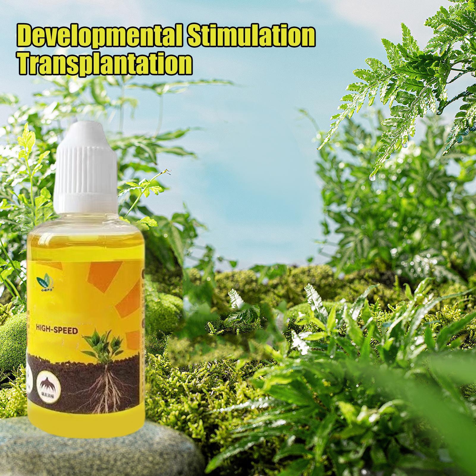 50 مللي محفز تأصيل النبات السا - مراجعة Root Stimulator Liquid وسعره