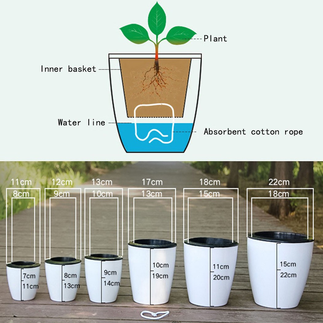 التلقائي سقي النباتات وعاء ، ك - مراجعة Self Watering Insert وسعره