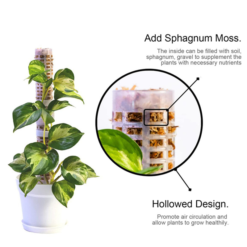 عمود تسلق النباتات من طحالب ال - مراجعة Sphagnum Moss Dry وسعره