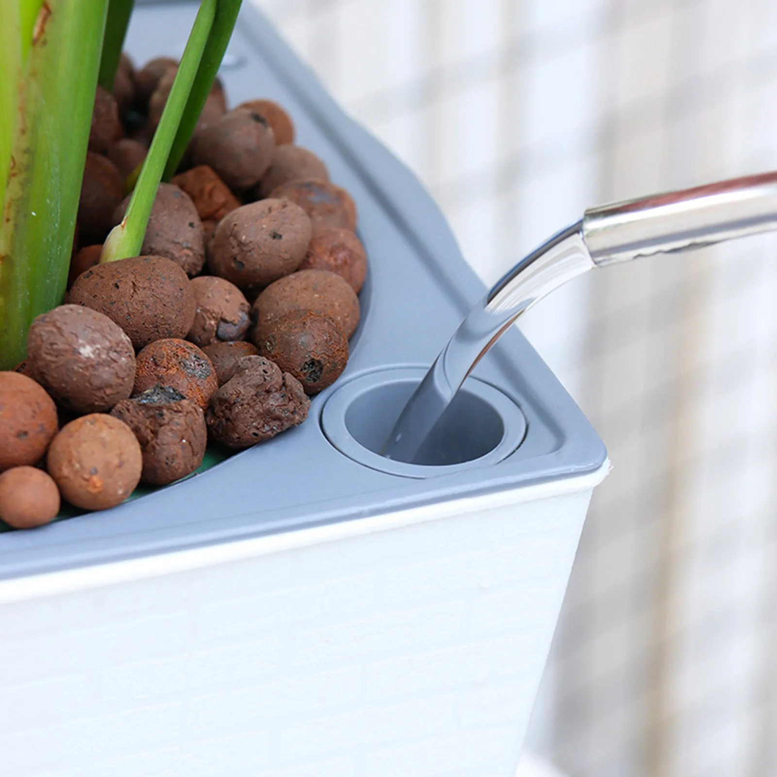 أصيص زهور ذاتي السقي مصنوع يدو - مراجعة Self Watering Insert وسعره