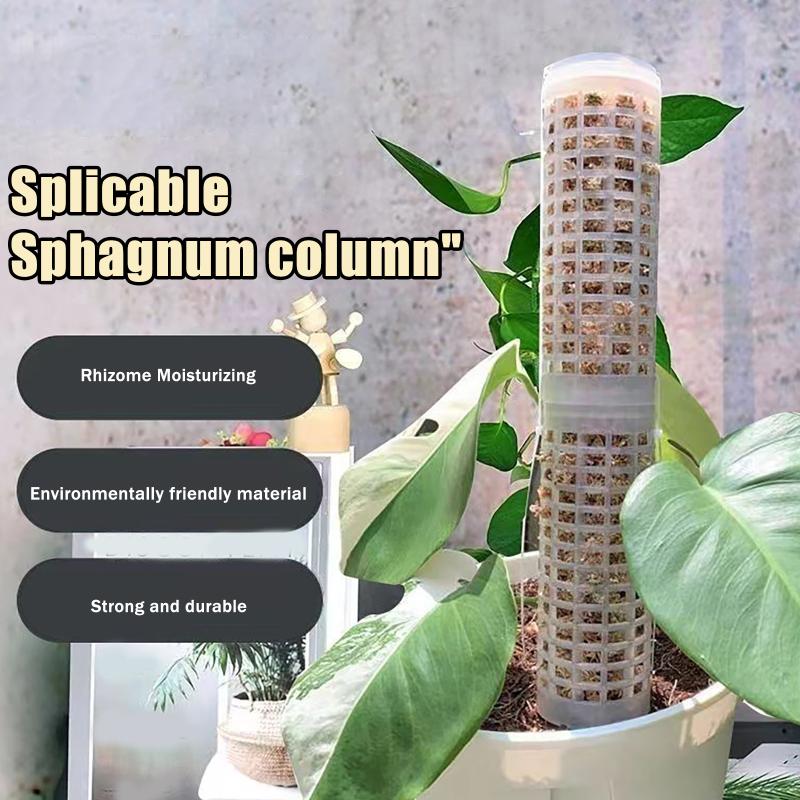 6 قطع من أعمدة الطحالب البلاست - مراجعة Sphagnum Moss Dry وسعره