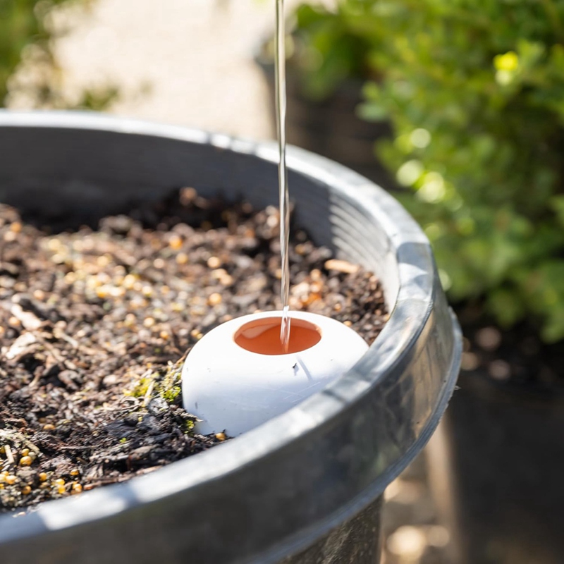 كرة سقي من نبات التراكوتا ، عل - مراجعة Self Watering Insert وسعره