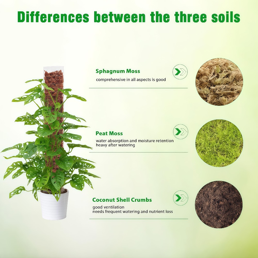 عمود طحلب بلاستيكي داخلي لدعم  - مراجعة Sphagnum Moss Dry وسعره
